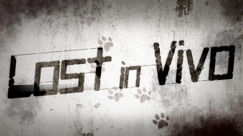 Lost in Vivo Lost in Vivo
